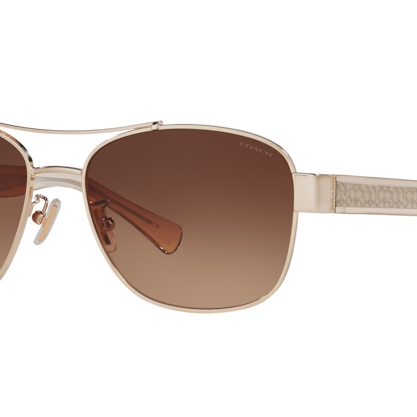 Coach HC7064 L151 Sunglasses