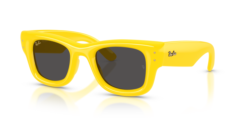 Ray-Ban RB4940 Wayfarer Puffer Sunglasses