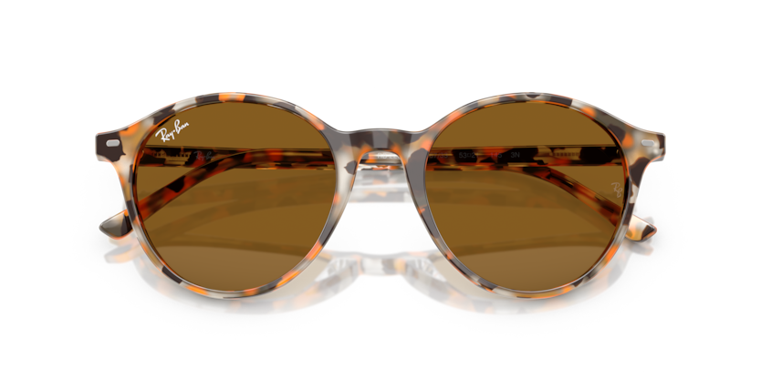 Ray-Ban RB2230F Bernard Sunglasses