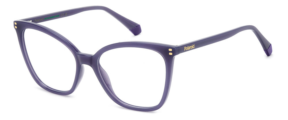 Polaroid PLD D579 Eyeglasses
