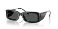 Diesel DL2017U  Sunglasses