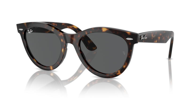 Ray-Ban RB2241F Wayfarer Way Sunglasses