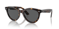 Ray-Ban RB2241F Wayfarer Way Sunglasses