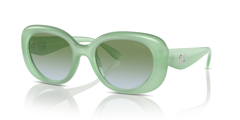 Coach HC8391U Cr609 Sunglasses