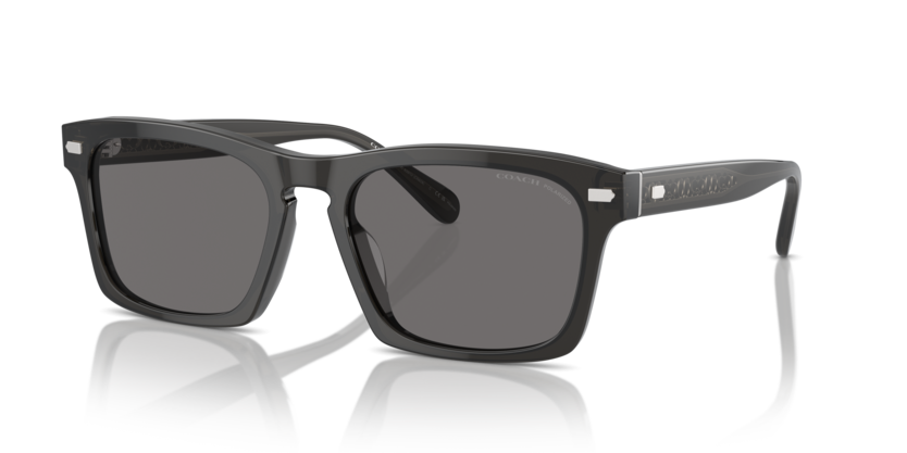 Coach HC8397U Cr628 Sunglasses