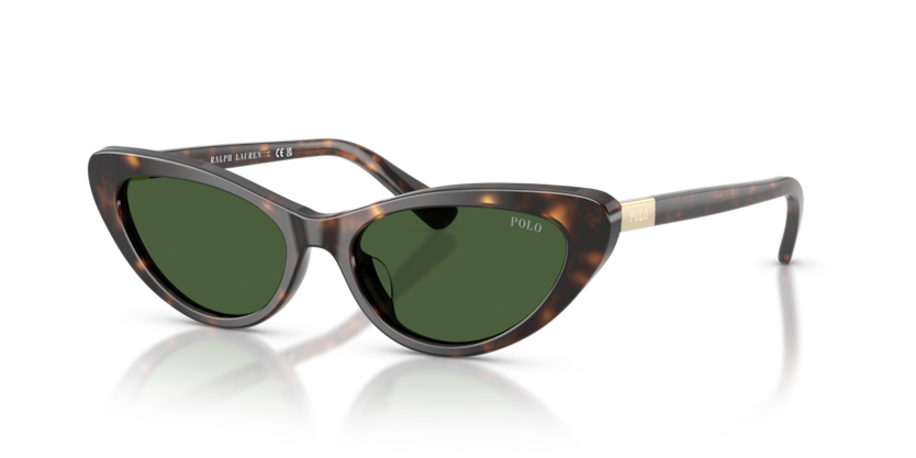 Polo PH4199U  Sunglasses