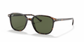 Ray-Ban RB2193 Leonard Sunglasses