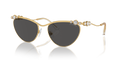 Swarovski SK7017  Sunglasses