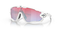 Oakley OO9290 Jawbreaker Sunglasses