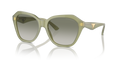 Emporio Armani EA4221F  Sunglasses