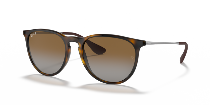 Ray-Ban RB4171F Erika Sunglasses