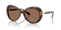 Swarovski SK6026  Sunglasses
