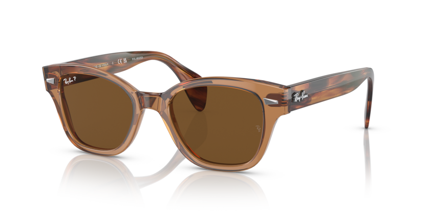 Ray-Ban RB0880S  Sunglasses