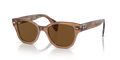 Ray-Ban RB0880S  Sunglasses