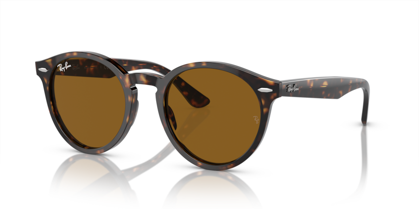 Ray-Ban RB7680S Larry Sunglasses