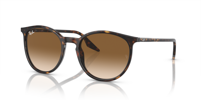 Ray-Ban RB2204  Sunglasses