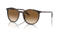 Ray-Ban RB2204  Sunglasses