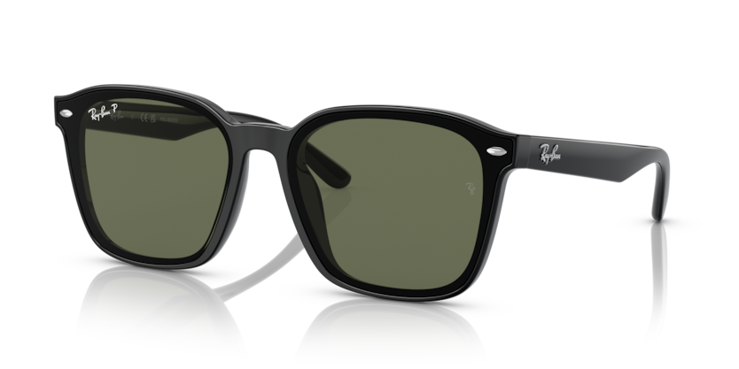 Ray-Ban RB4392D  Sunglasses