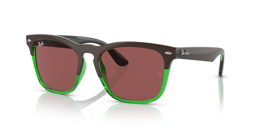Ray-Ban RB4487 Steve Sunglasses