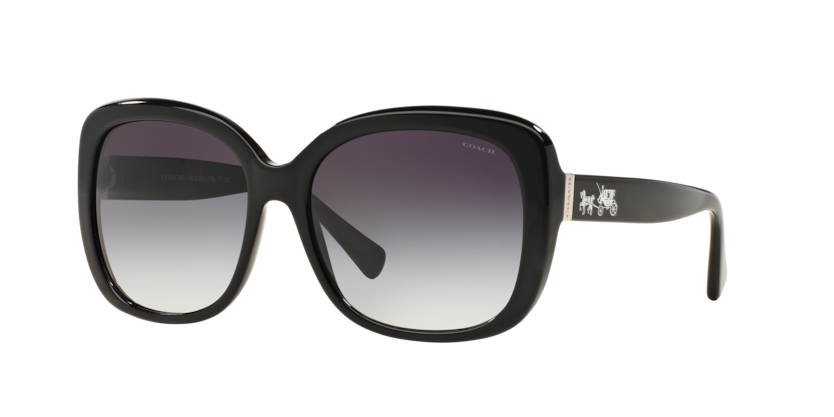Coach HC8158 L139 Sunglasses