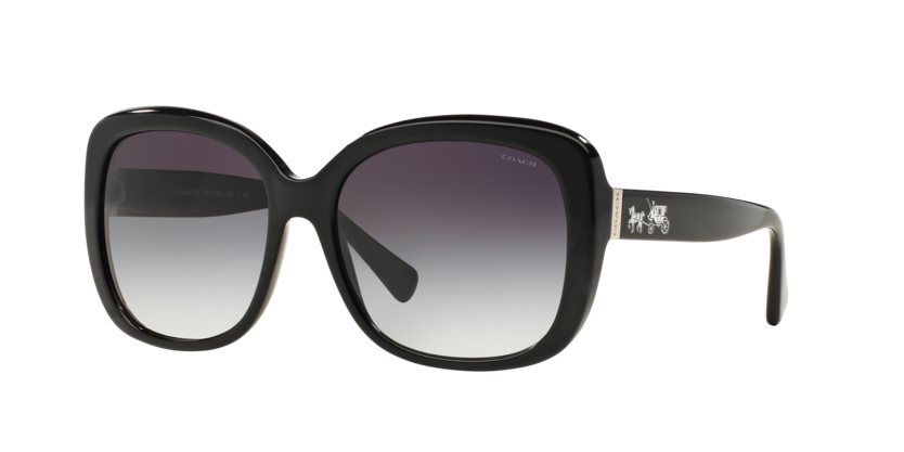 Coach HC8158 L139 Sunglasses