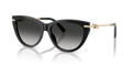 Tiffany TF4253  Sunglasses