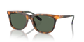 Polo PH4205U  Sunglasses
