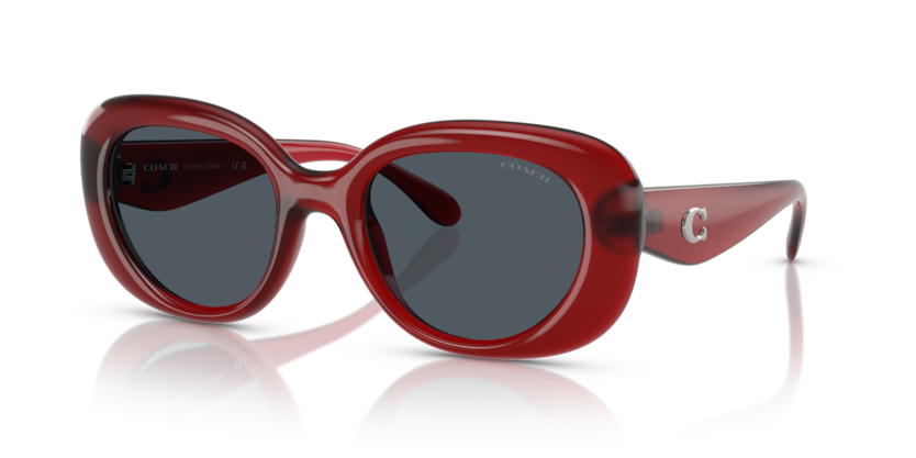 Coach HC8391U Cr609 Sunglasses