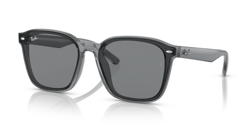 Ray-Ban RB4392D  Sunglasses