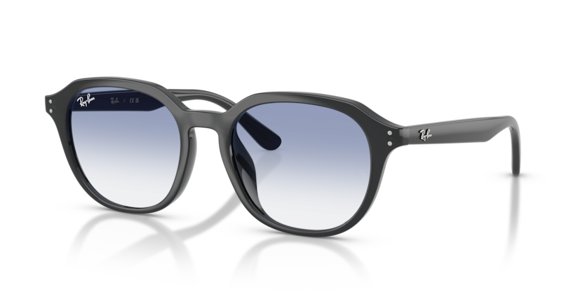 Ray-Ban RB4459D  Sunglasses