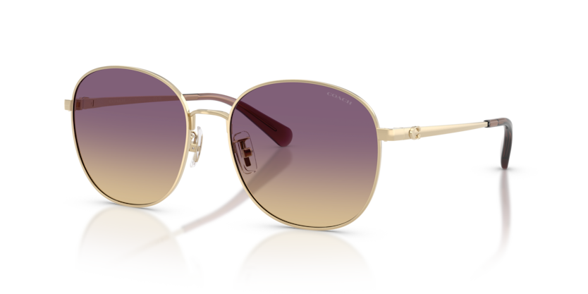 Coach HC7189 Cdp39 Sunglasses