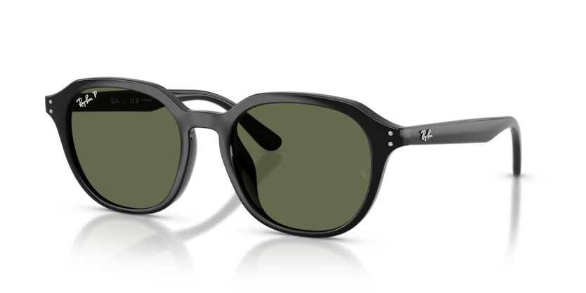 Ray-Ban RB4459D  Sunglasses
