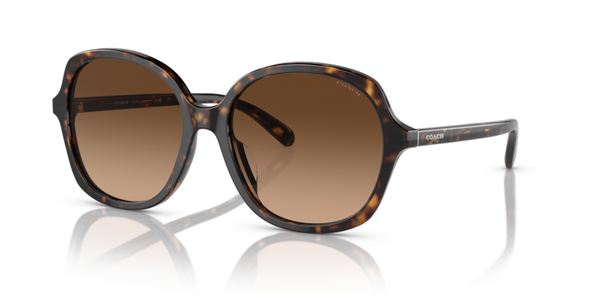 Coach HC8360U Ch557 Sunglasses