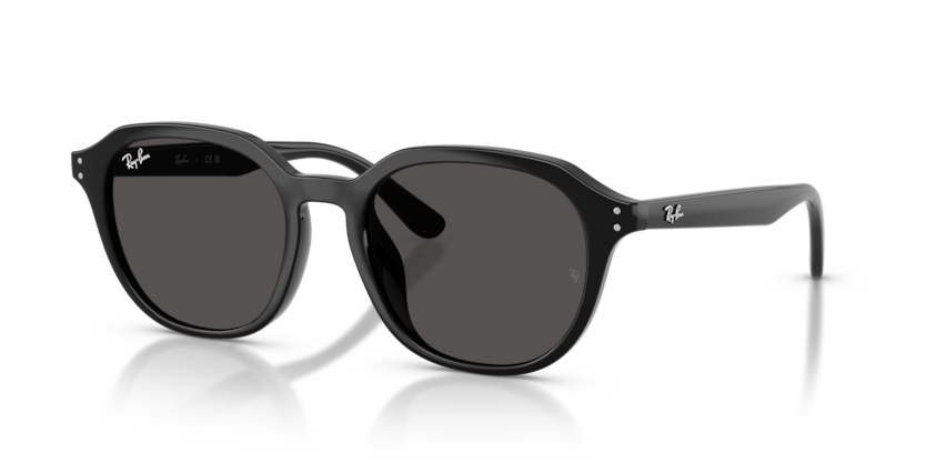 Ray-Ban RB4459D  Sunglasses
