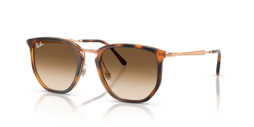 Ray-Ban RB4451  Sunglasses
