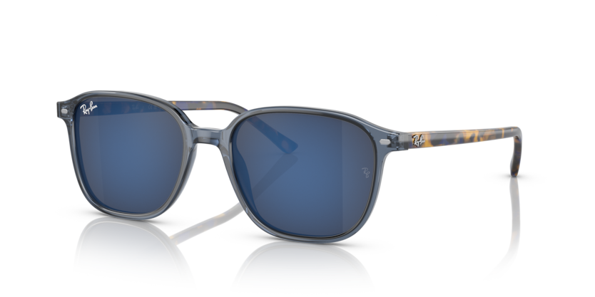 Ray-Ban RB2193 Leonard Sunglasses