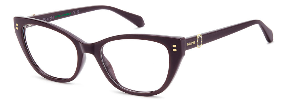 Polaroid PLD D602/US Eyeglasses