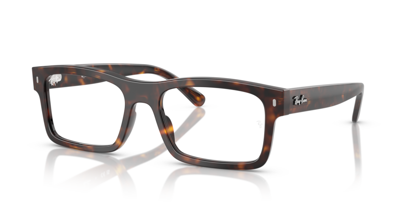 Ray-Ban Vista RX5435  Eyeglasses
