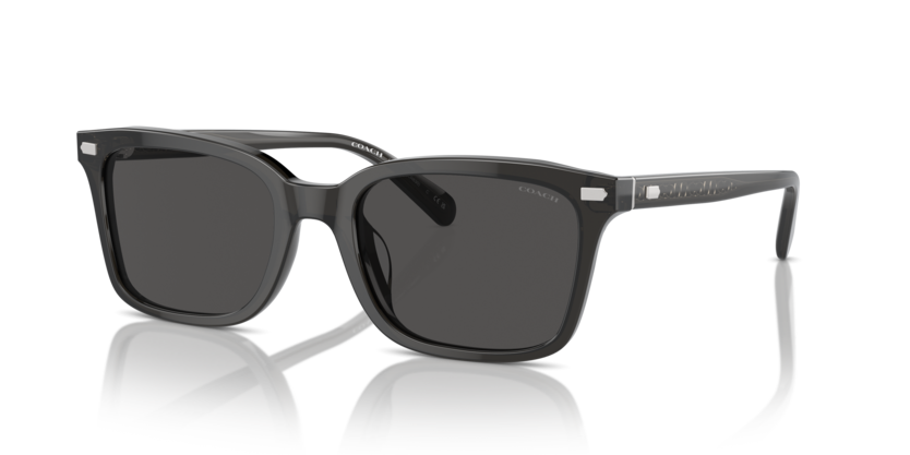 Coach HC8398U Cr630 Sunglasses