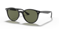 Ray-Ban RB4305  Sunglasses