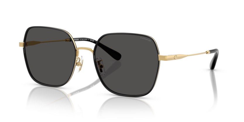 Coach HC7180D Cae93 Sunglasses