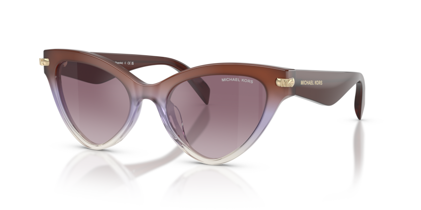 Michael Kors MK2259U Roanoke Sunglasses