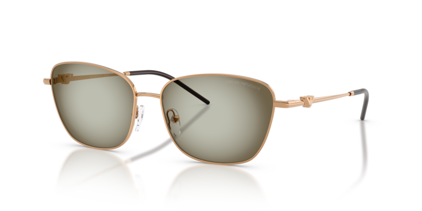 Emporio Armani EA2170  Sunglasses