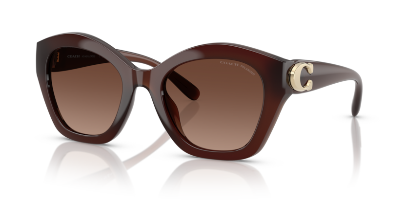 Coach HC8421U Cad31 Sunglasses