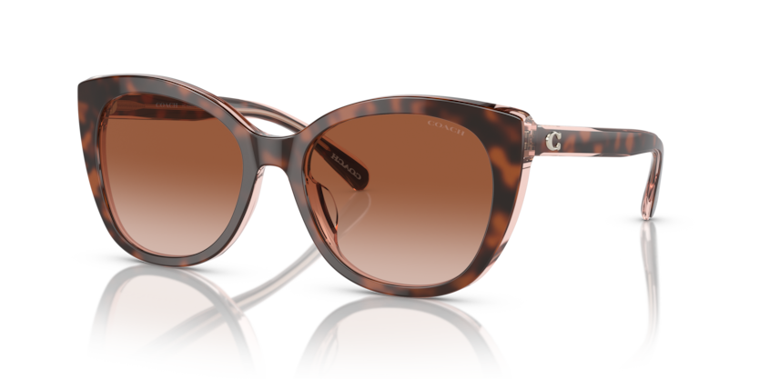 Coach HC8365U Ch566 Sunglasses