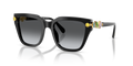 Swarovski SK6041  Sunglasses
