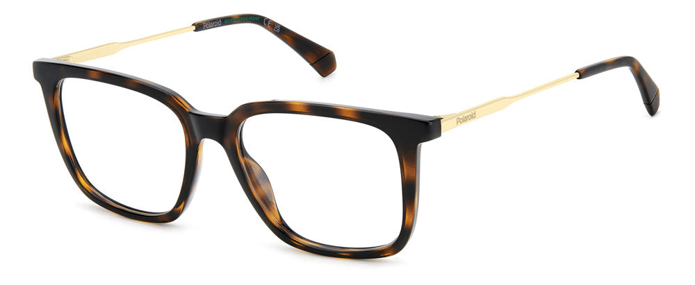 Polaroid PLD D565 Eyeglasses
