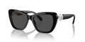Swarovski SK6018  Sunglasses