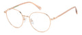 Polaroid PLD D567/G Eyeglasses
