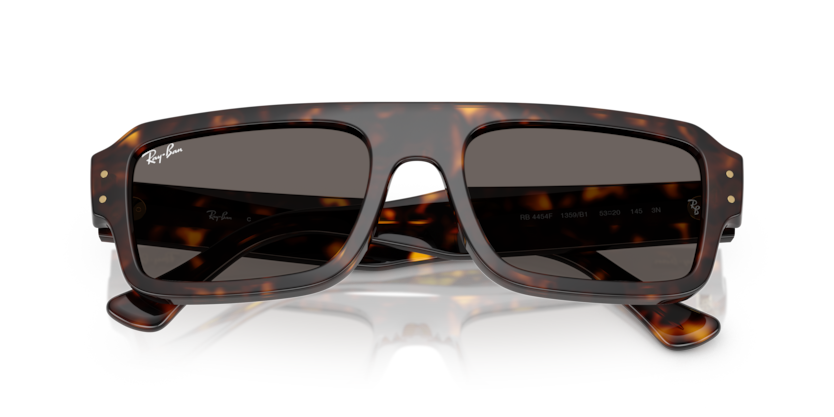 Ray-Ban RB4454F Flacko Sunglasses
